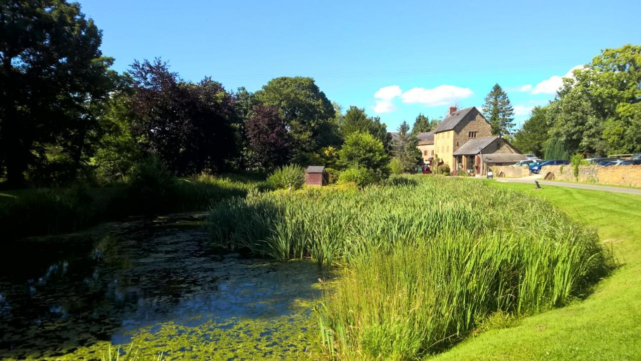 Hotel Haselbury Mill Crewkerne Exterior foto